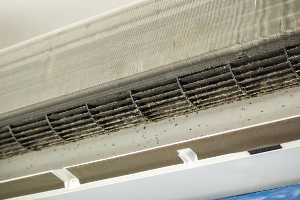 Best Home Air Vent Cleaning  in East Flat Rock, NC